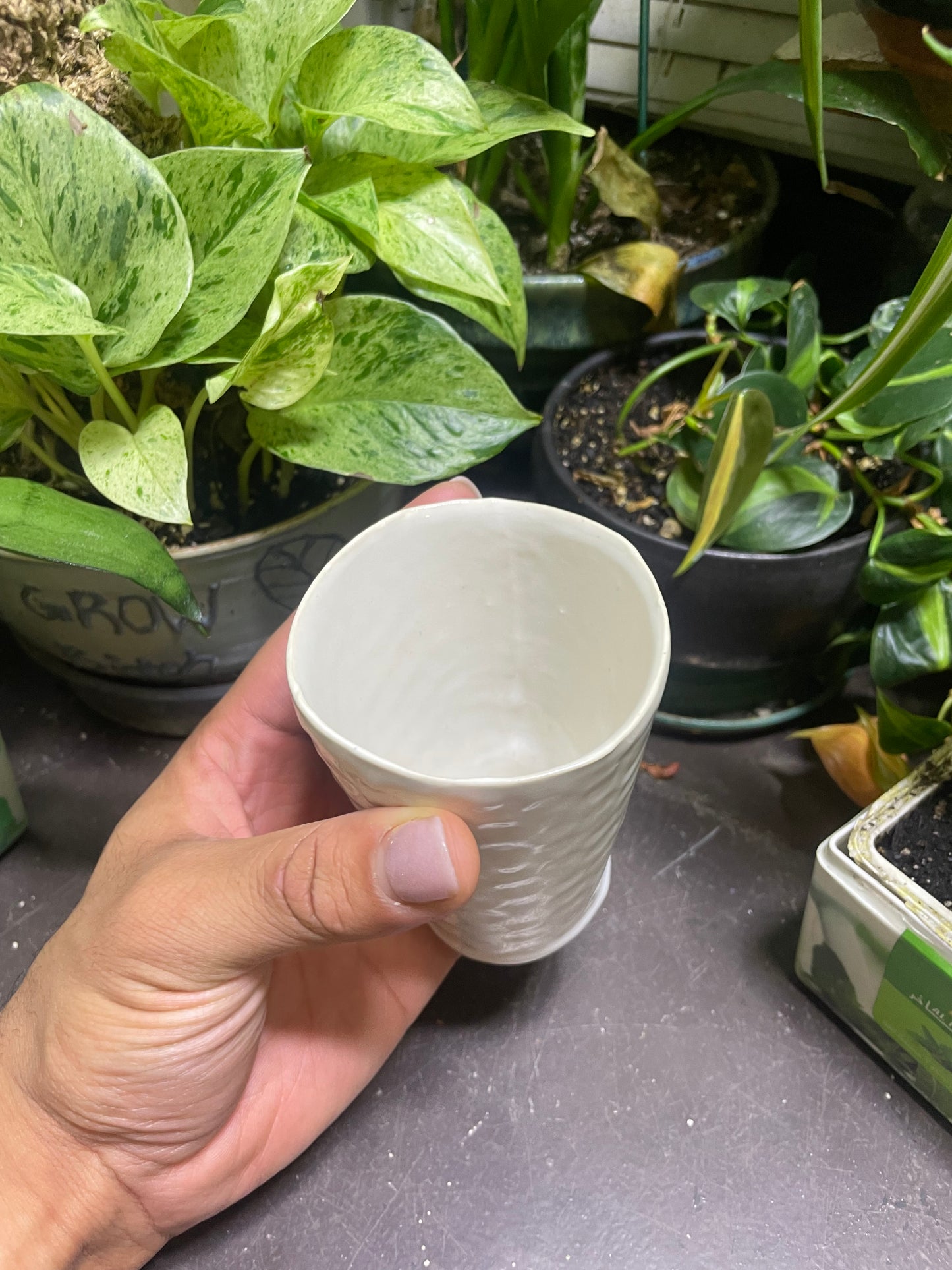 Shiny White Ceramic Cups Fabric Patterned