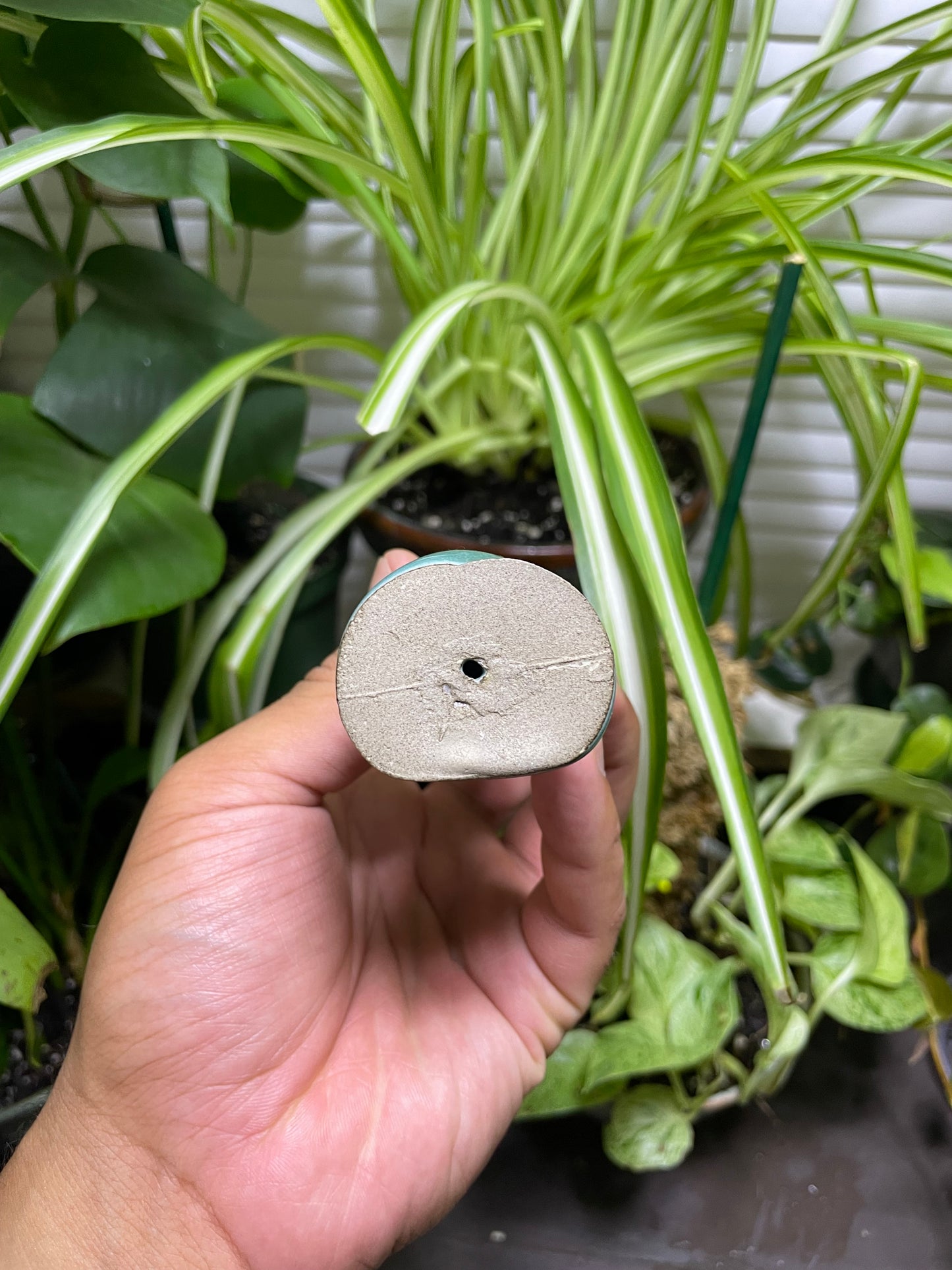 Unicorn Horn Herb Smoking Pipe- turquoise