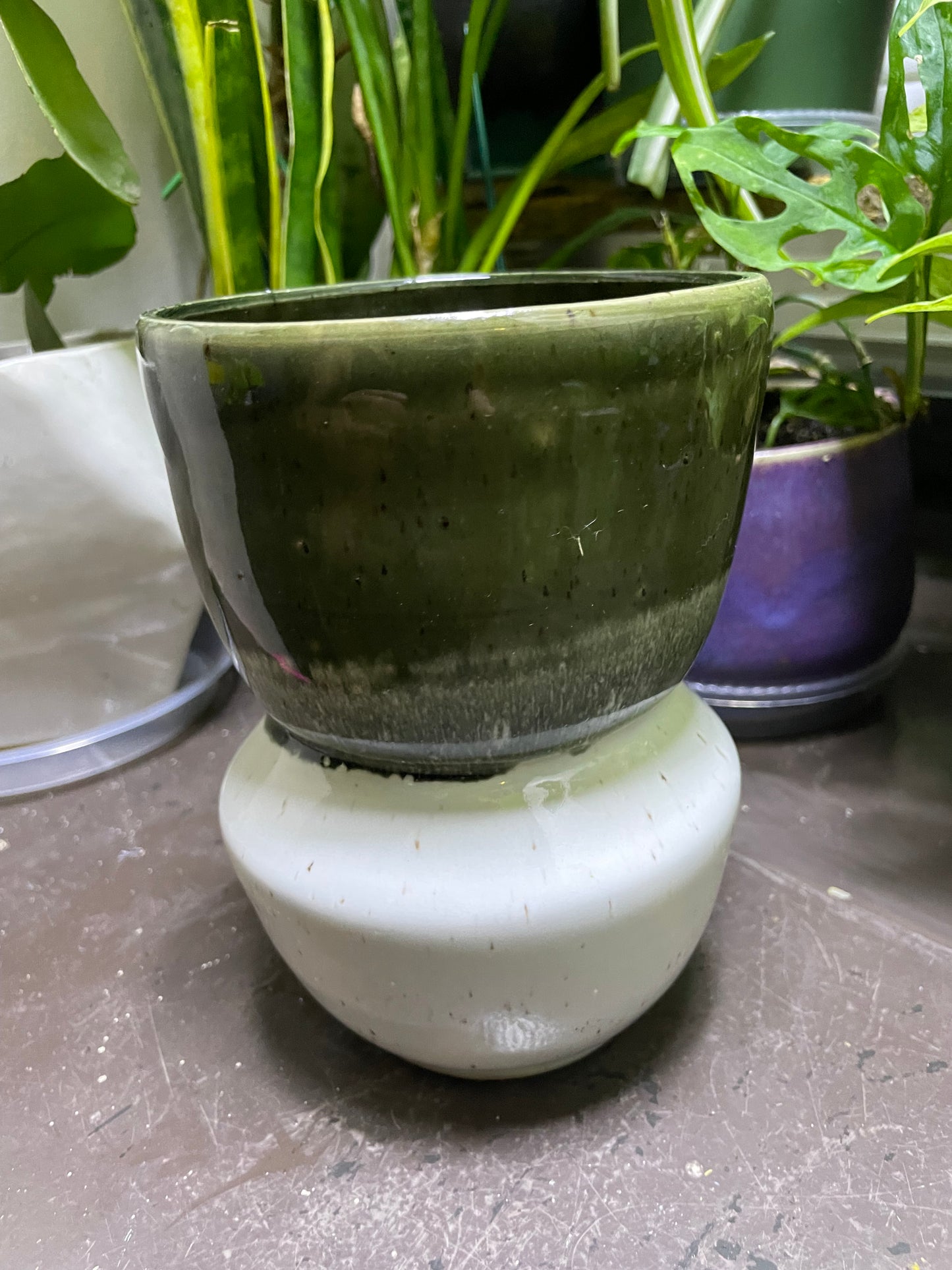 Two Toned Speckled Vase Green and Shiny White