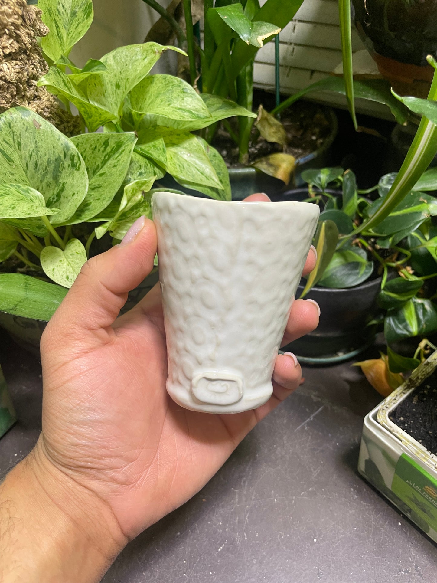 Shiny White Ceramic Cups Fabric Patterned