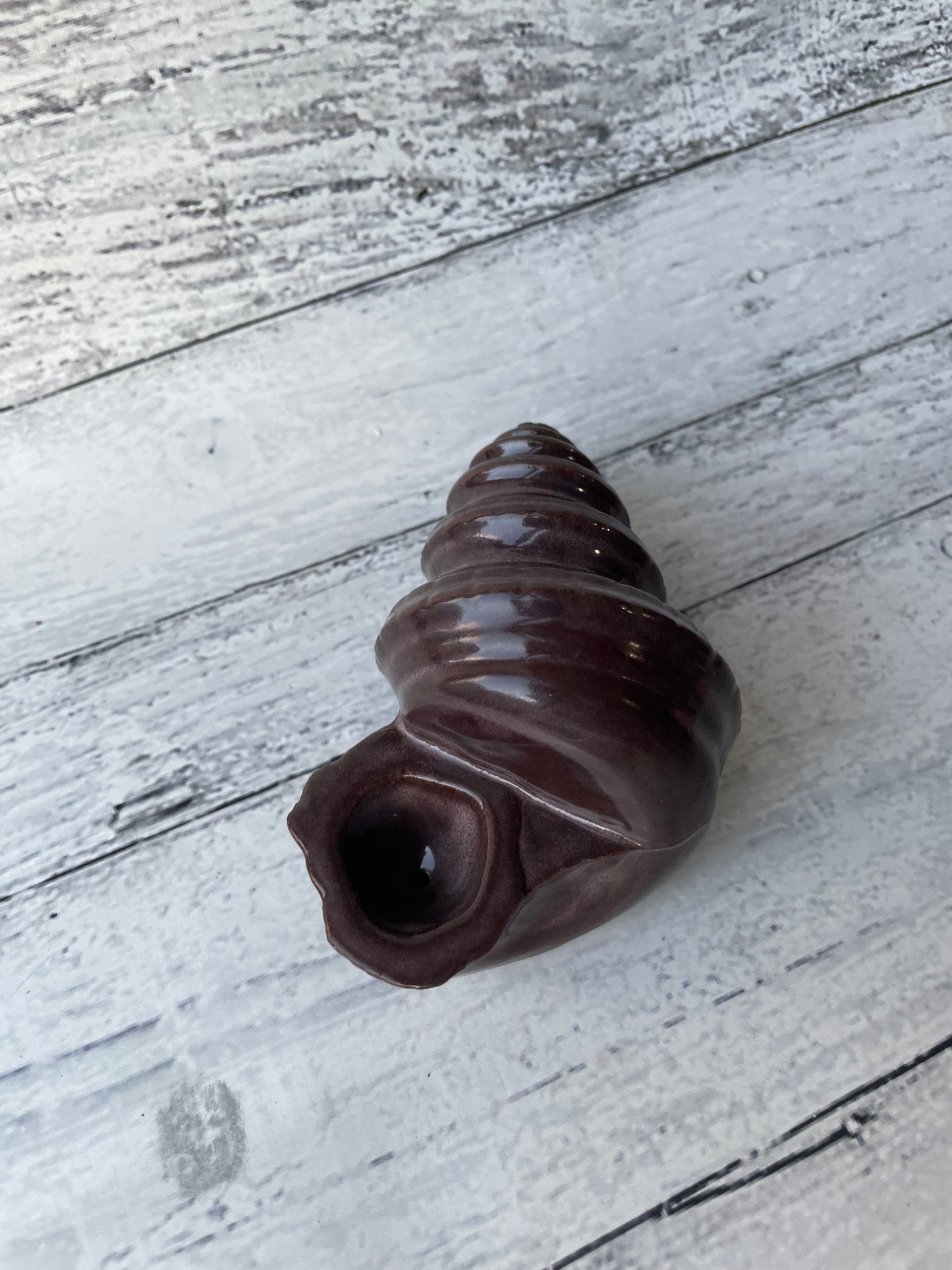 Conch Shell Herb Smoking Pipe - cacao