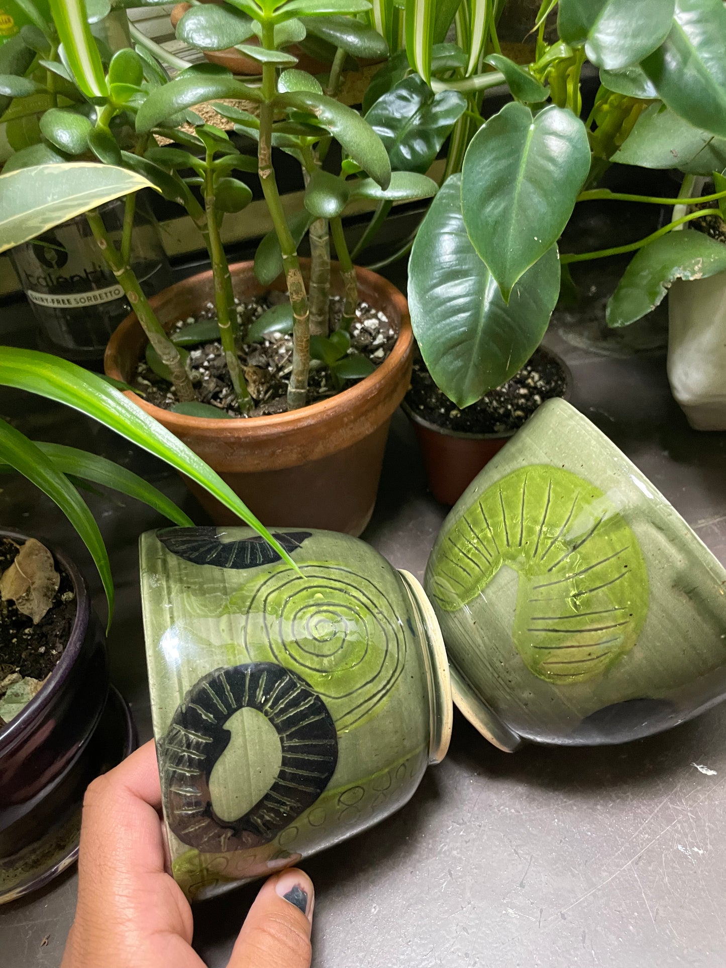 Grey Green Abstract Bowls