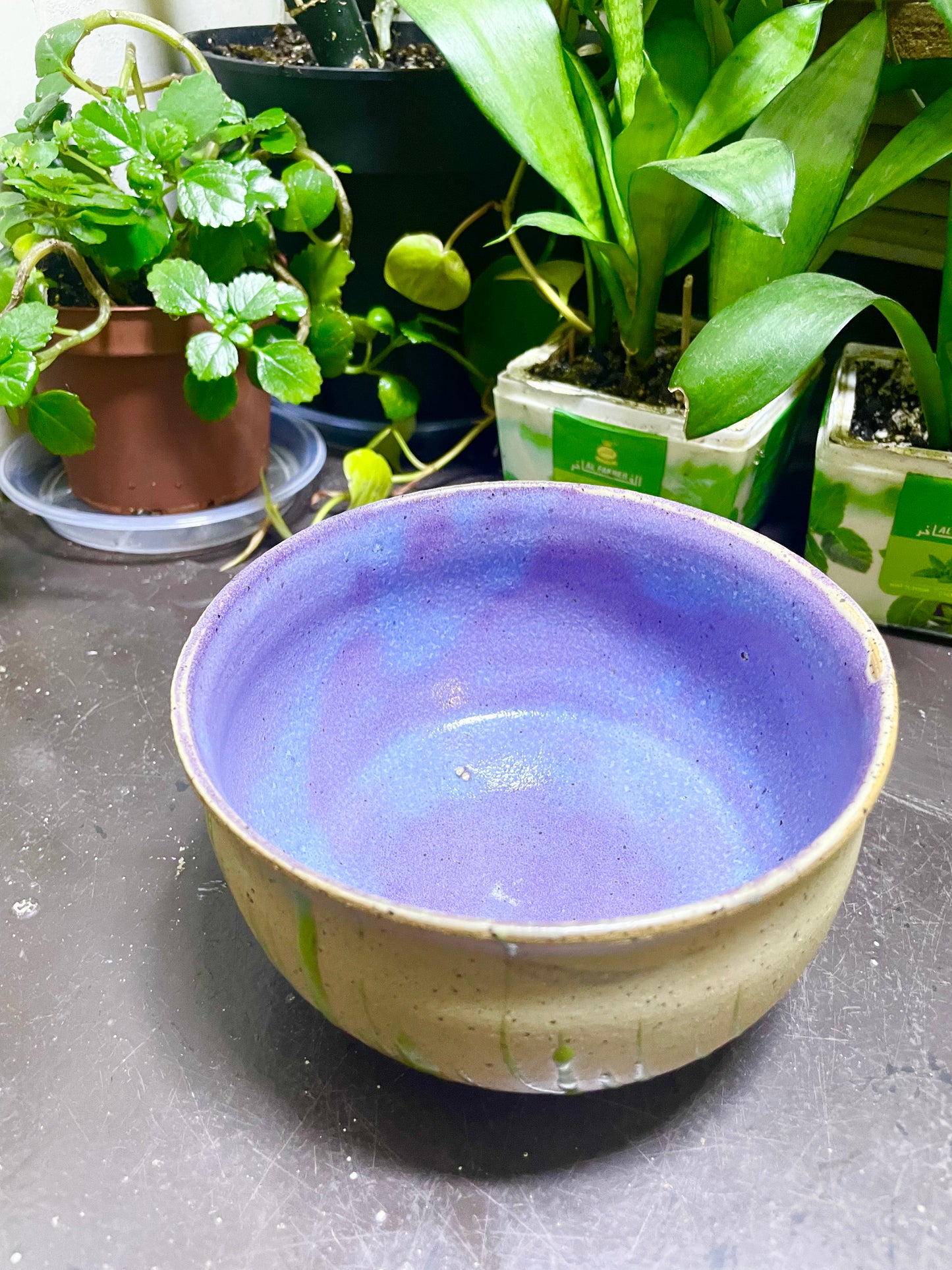 Slime Green Web Bottom Handmade Bowl Wicked Colors