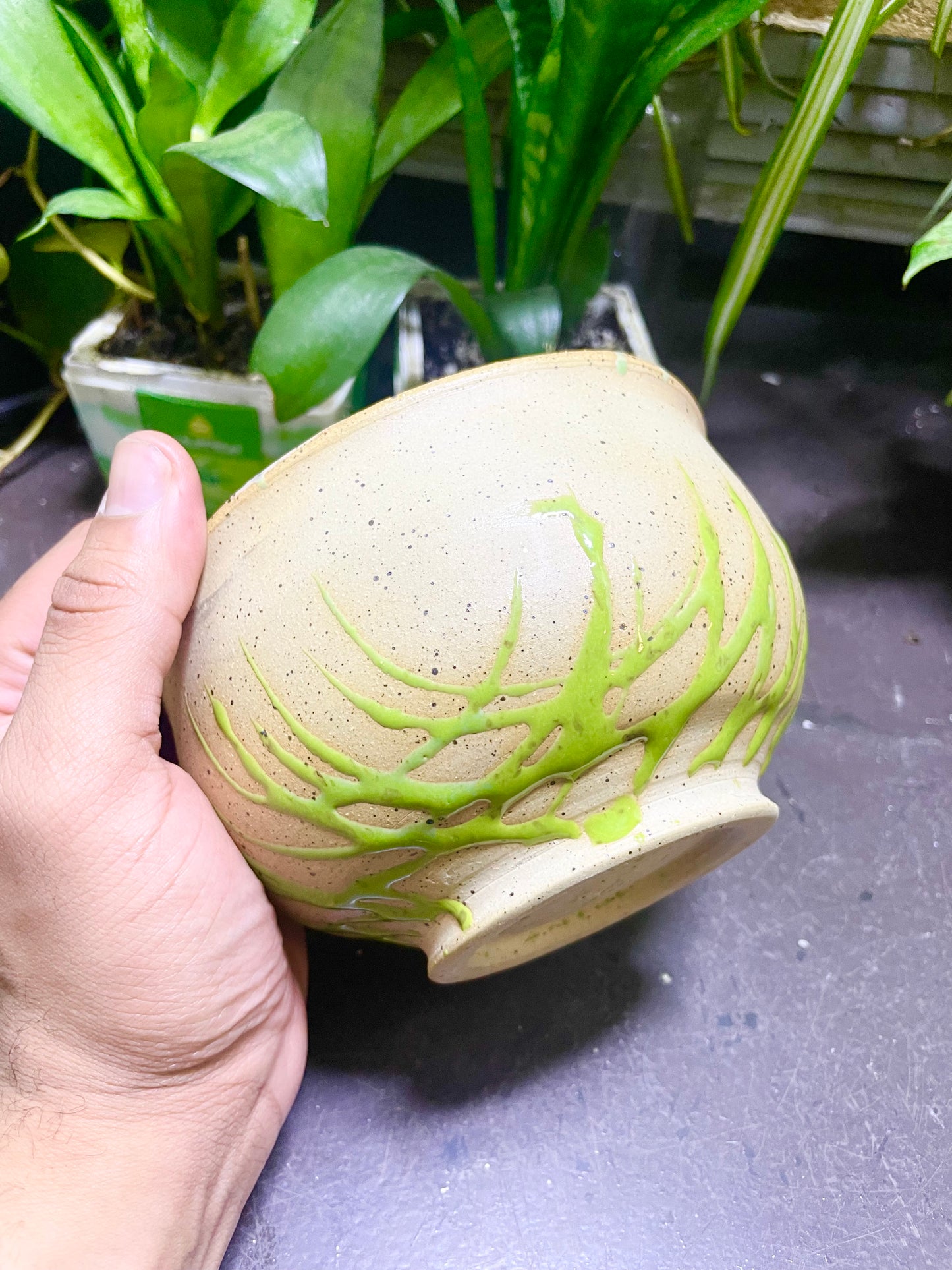 Slime Green Web Bottom Handmade Bowl Wicked Colors