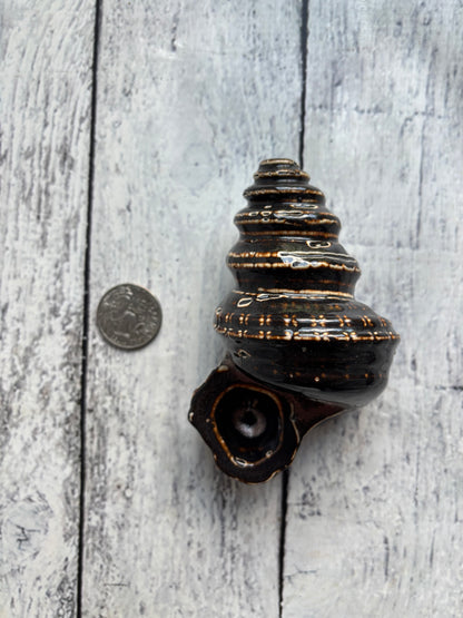 Conch Shell Herb Smoking Pipe - copper brown