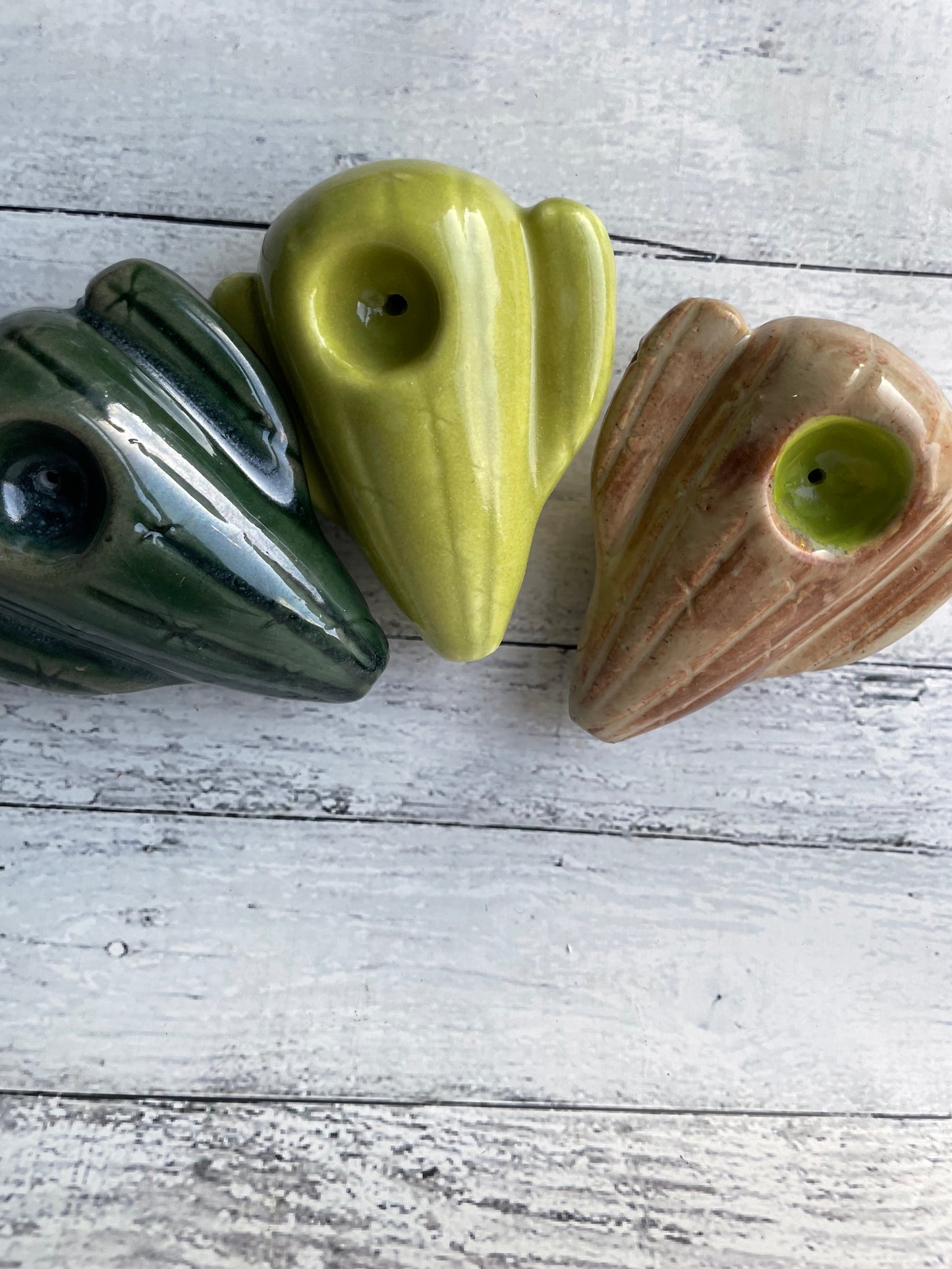 Cactus Smoking Pipe in Terra-cotta Neon