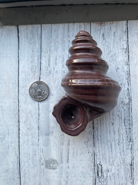 Conch Shell Herb Smoking Pipe - cacao