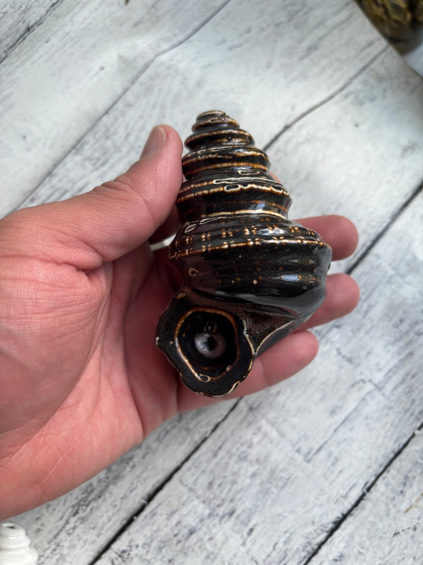 Conch Shell Herb Smoking Pipe - copper brown