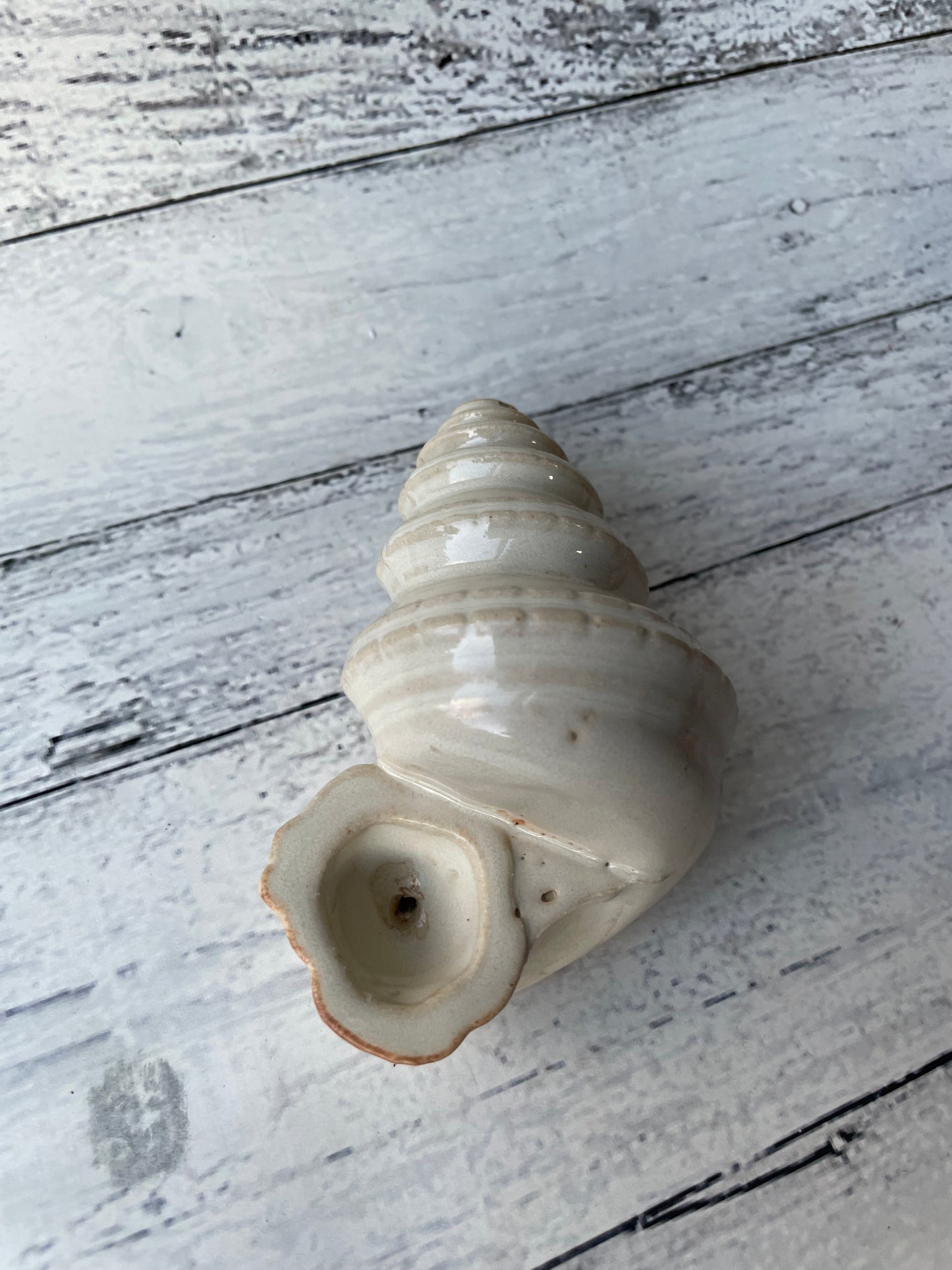 Conch Shell Herb Smoking Pipe - cream