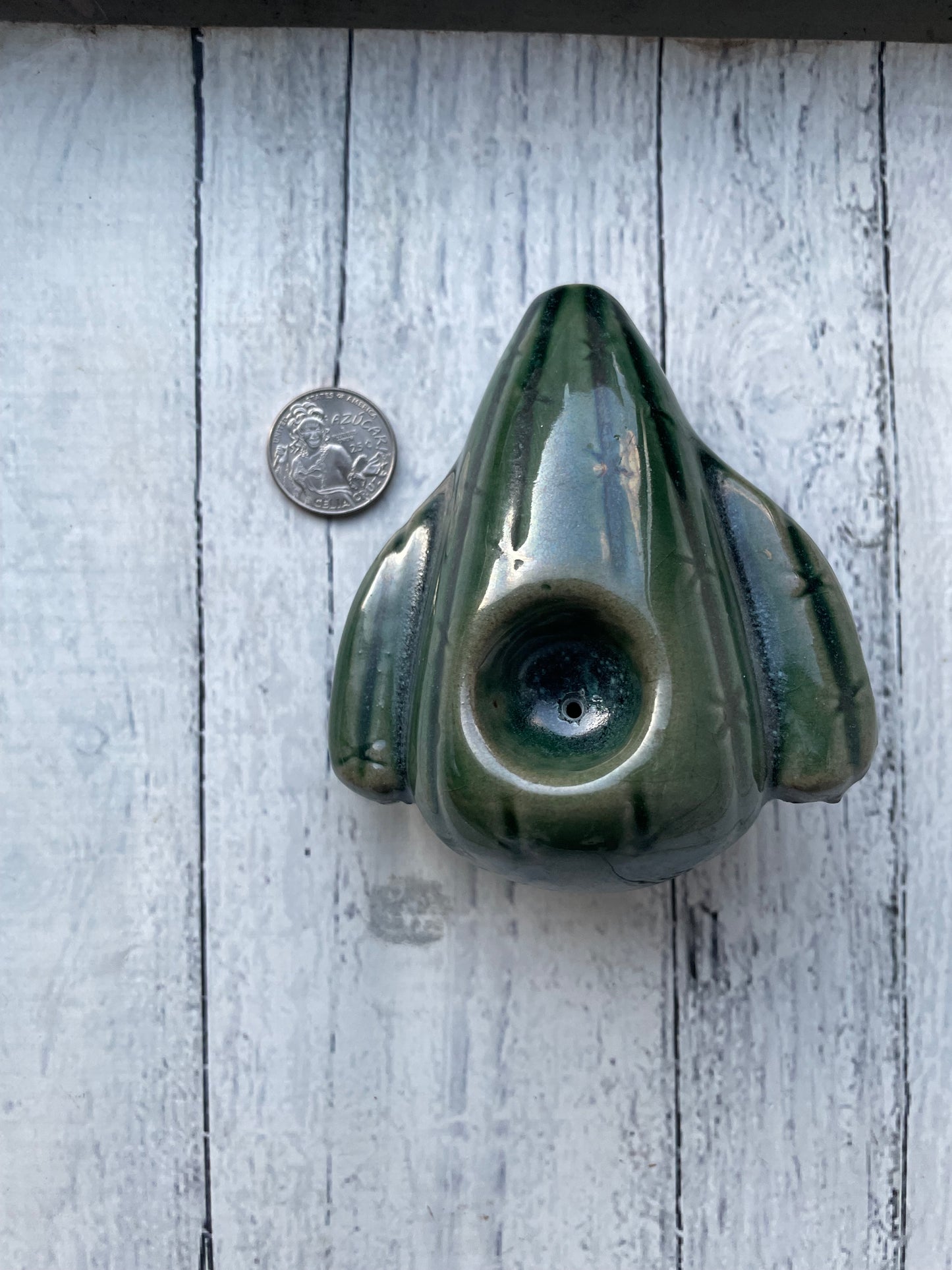 Cactus Smoking Pipe in Dark Grey Green