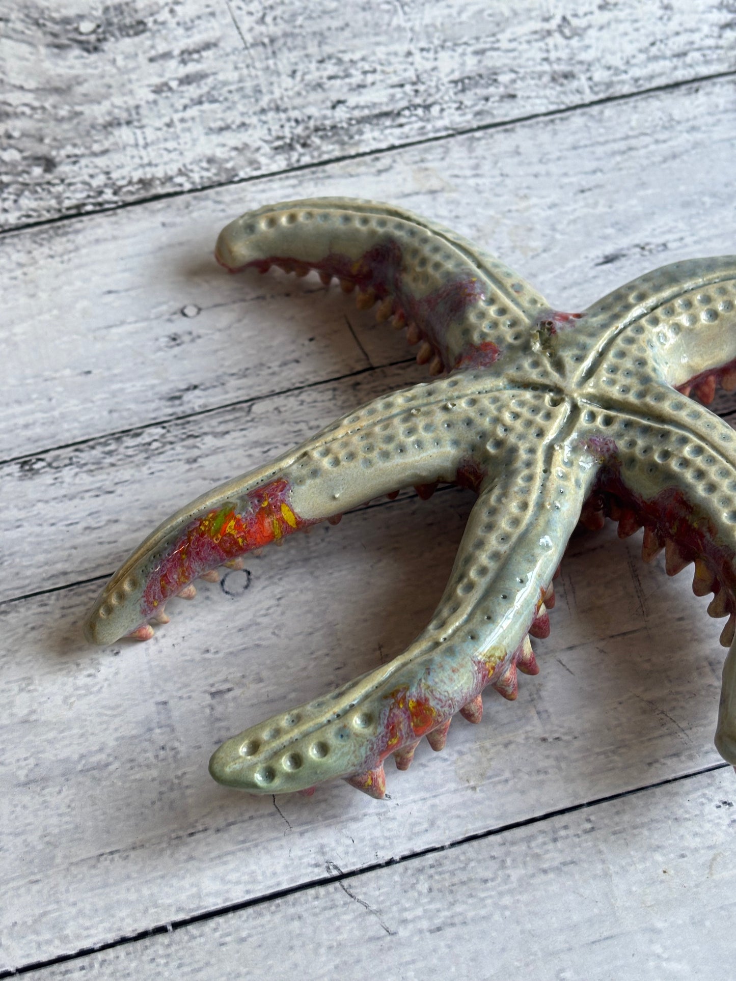 Starfish Paper Weight, Aquarium themed prop