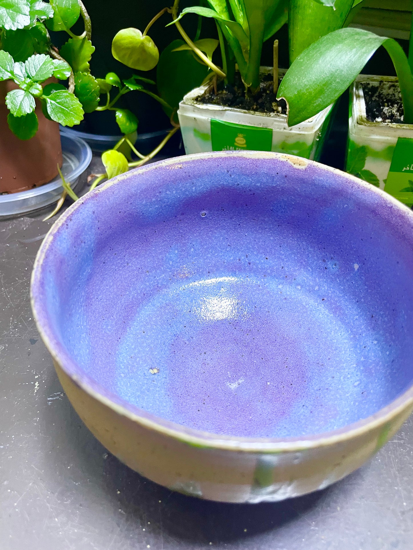 Slime Green Web Bottom Handmade Bowl Wicked Colors