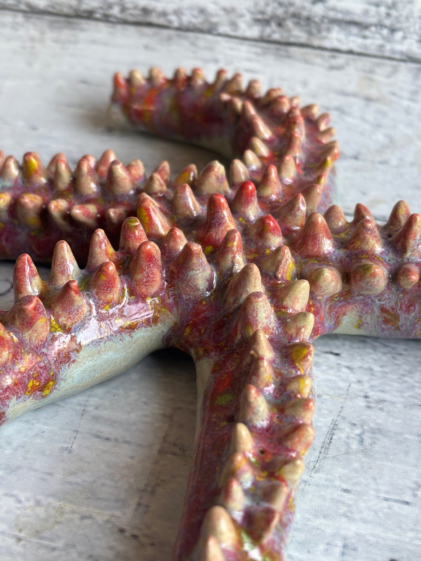 Starfish Paper Weight, Aquarium themed prop