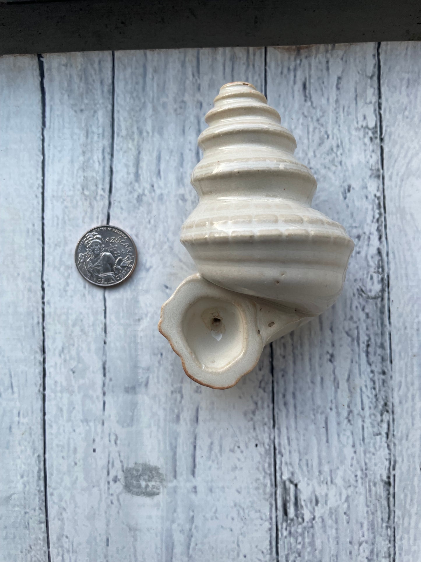 Conch Shell Herb Smoking Pipe - cream