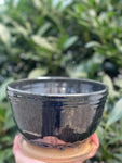 wicked Planter with drainage tray