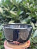 wicked Planter with drainage tray