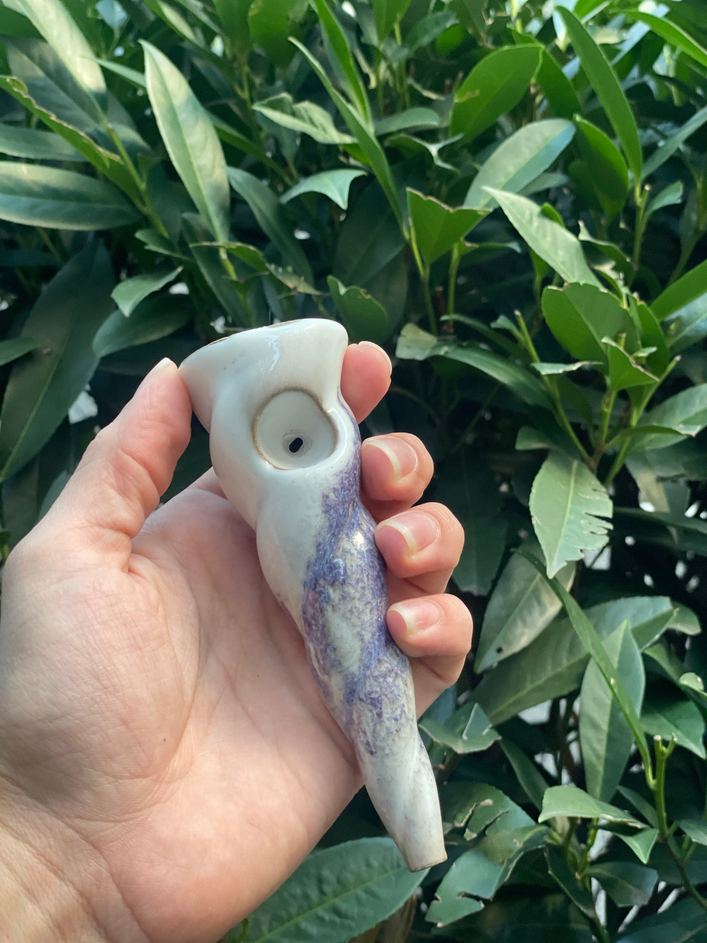 Unicorn Horn Herb Smoking Pipe- crocus