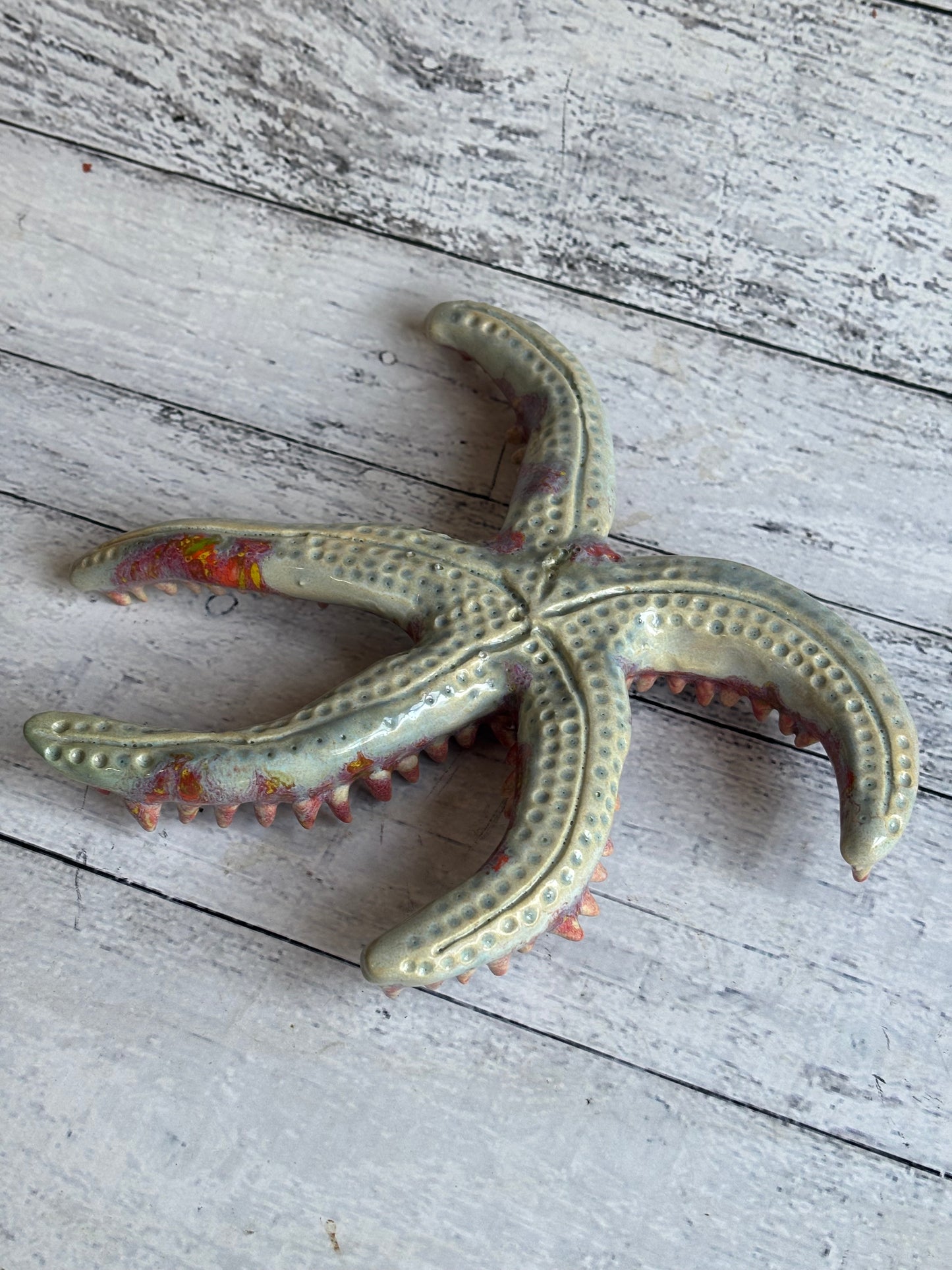 Starfish Paper Weight, Aquarium themed prop