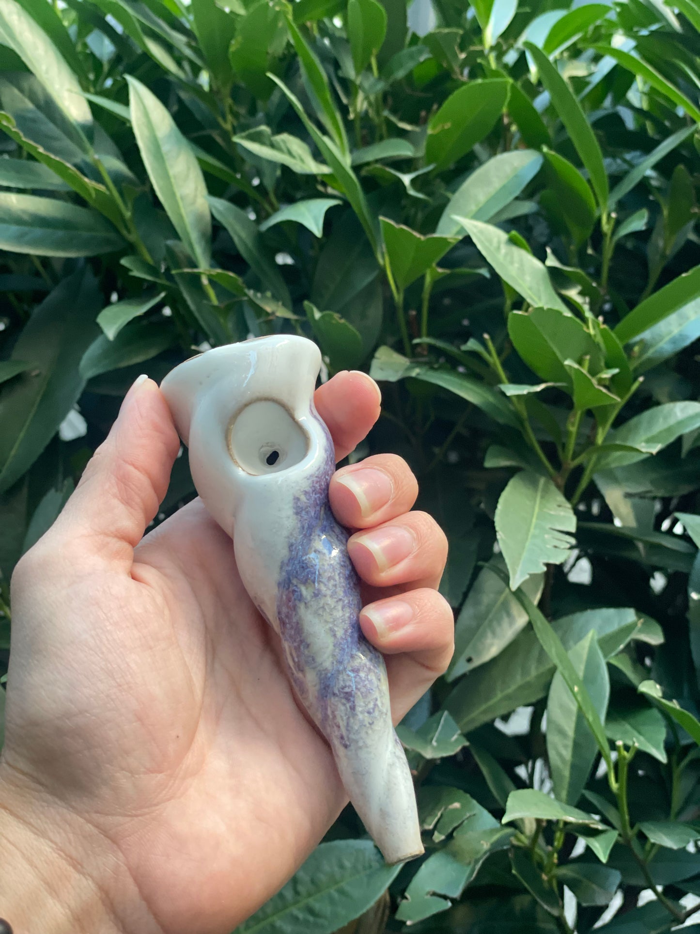 Unicorn Horn Herb Smoking Pipe- crocus