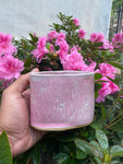 Floral Pink Cup Vase /Tool Holder