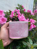 Floral Pink Cup Vase /Tool Holder