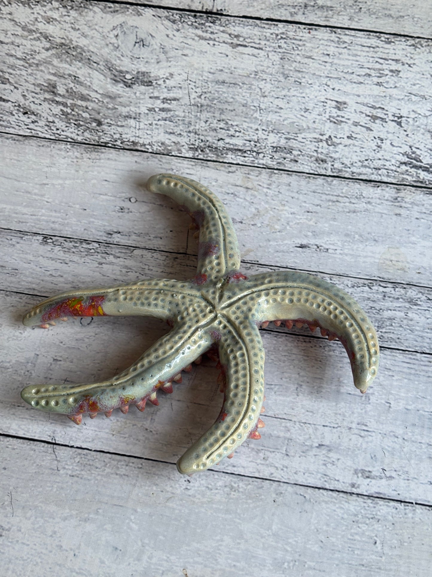 Starfish Paper Weight, Aquarium themed prop