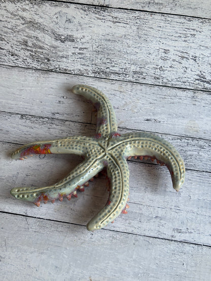 Starfish Paper Weight, Aquarium themed prop
