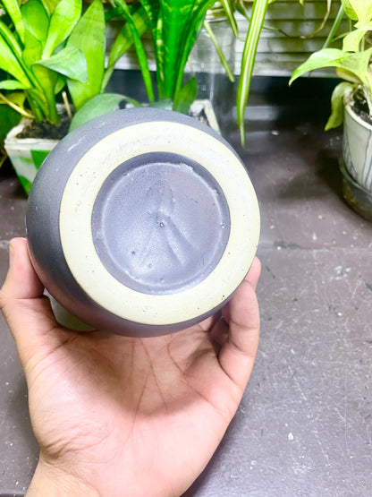 Galazy Matte Black Vase