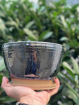 wicked Planter with drainage tray