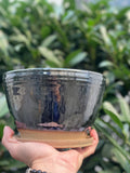 wicked Planter with drainage tray