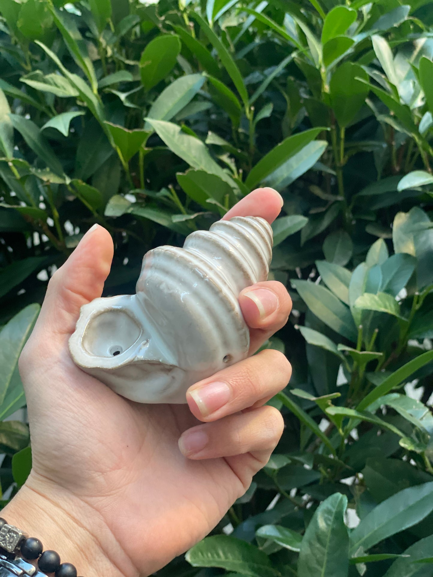 Conch Shell Smoking Pipe-shiny white