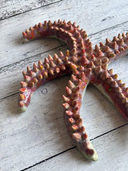 Starfish Paper Weight, Aquarium themed prop