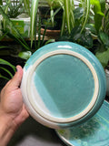 Dinner Plates - under the microscope