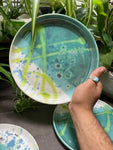 Dinner Plates - under the microscope
