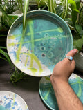 Dinner Plates - under the microscope