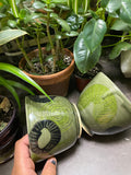 Grey Green Abstract Bowls