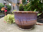 Tropical Breeze Planter
