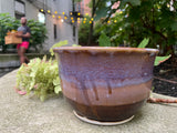 Tropical Breeze Planter
