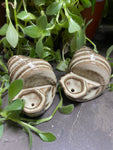 Conch Shell Smoking Pipe-cinnamon rolls
