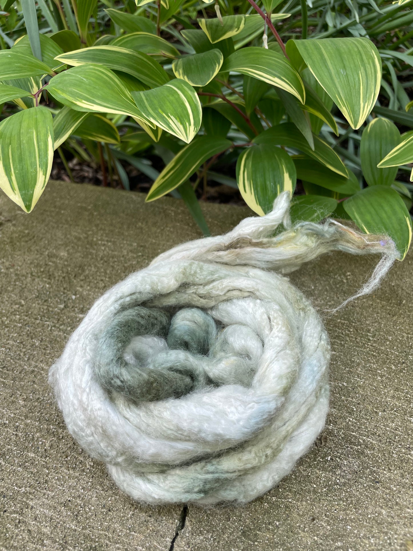 HAND DYED BAMBOO TOP ROVING, SPINNING OR BLENDING- sage