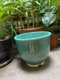 Turquoise Planter