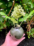 Round Single Stem Flower Vase