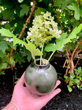 Round Single Stem Flower Vase
