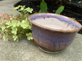 Tropical Breeze Planter