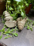 Conch Shell Smoking Pipe-cinnamon rolls