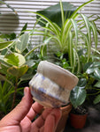 Small Double Rimmed Planter