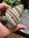 Conch Shell Smoking Pipe-cinnamon rolls