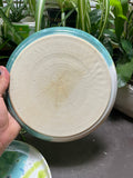 Dinner Plates - under the microscope