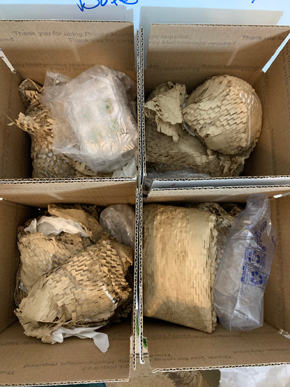 Mystery Pottery Boxes