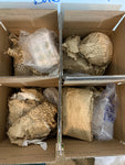Mystery Pottery Boxes